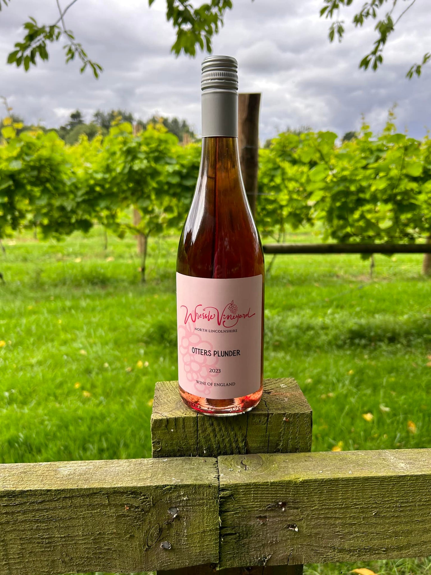 Otters Plunder 2024 - Rondo Rosé Wine - GOLD Award Winning