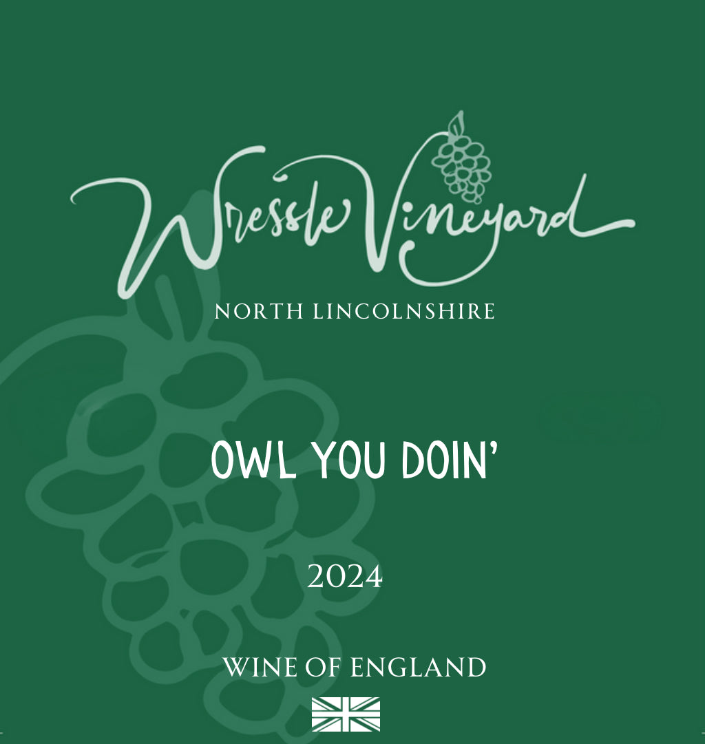 WEB * NOW AVAILABLE *Owl You Doin' 2024 - Pinot Noir White