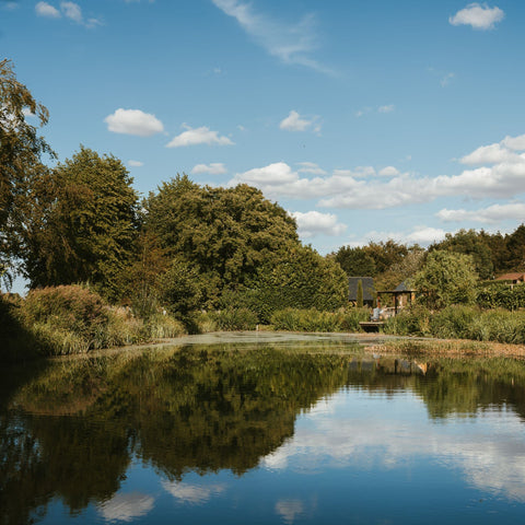 A scenic landscape of a calm pond reflecting trees and a blue sky with white clouds, with a small wooden structure visible among the greenery on the right side.