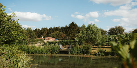 View over large pond to a small wooden dock with two chairs under a blue sky with white clouds.